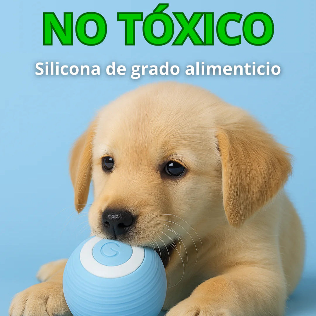 Pelota Interactiva Para Mascotas