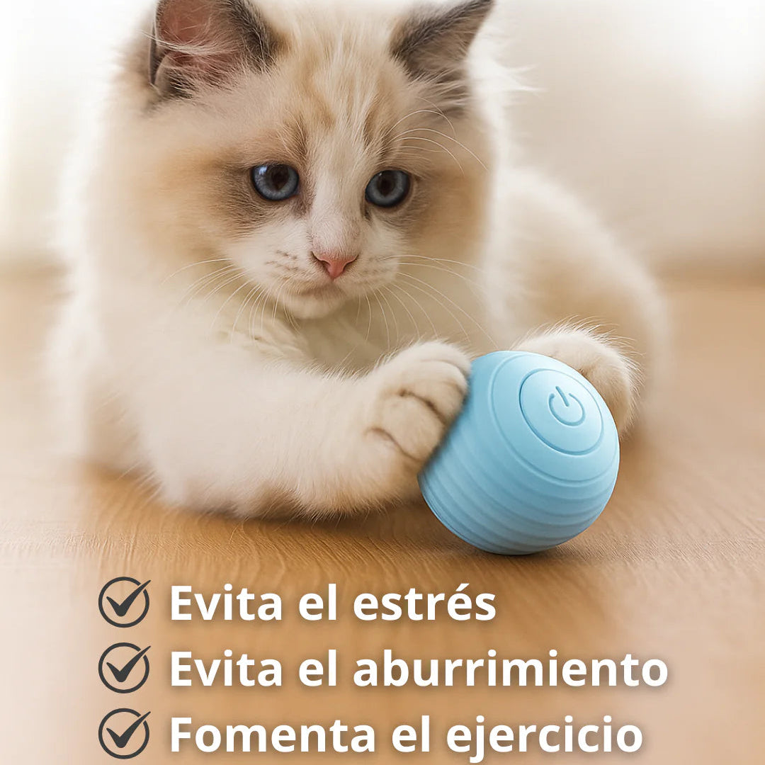 Pelota Interactiva Para Mascotas