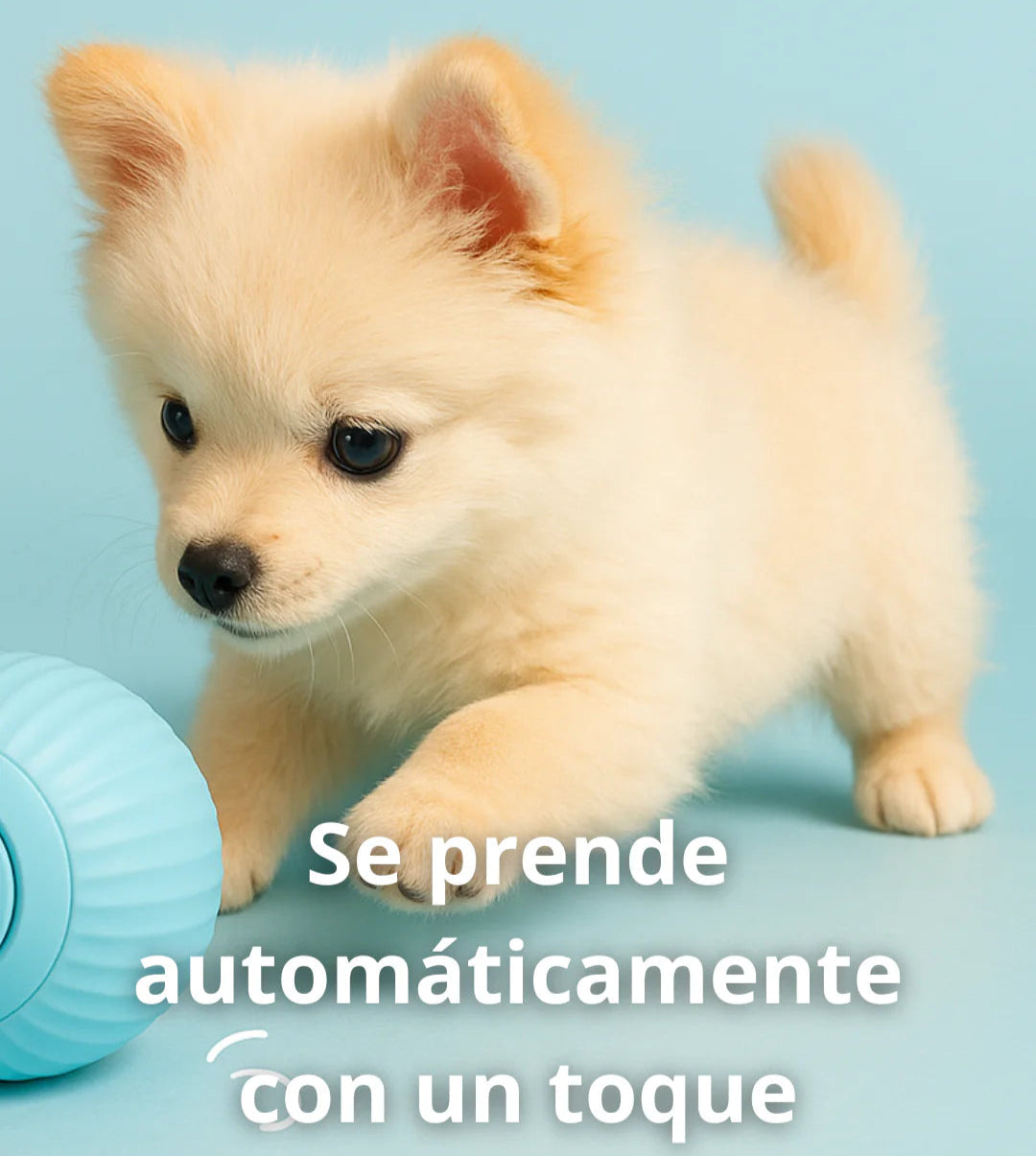 Pelota Interactiva Para Mascotas