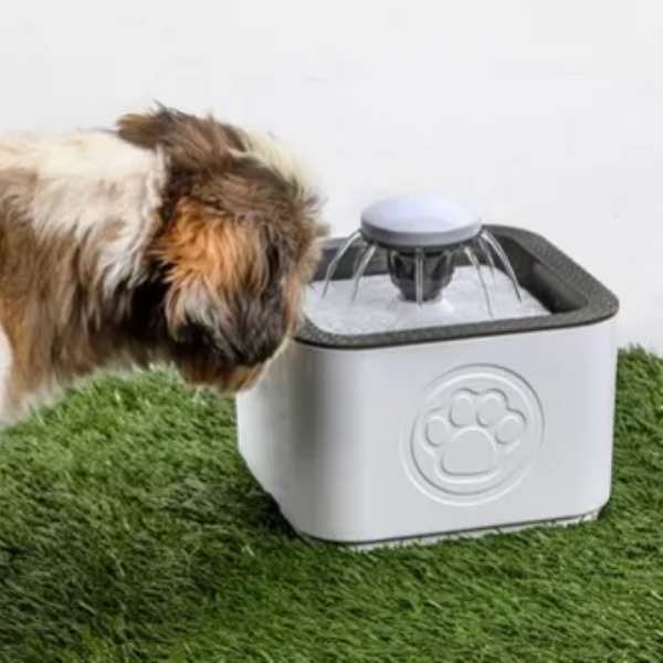 Bebedero Fuente De Agua Eléctrico Para Mascotas