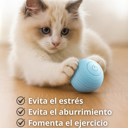 Pelota Interactiva Para Mascotas